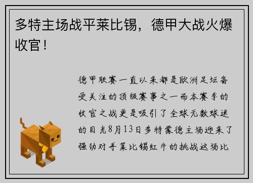 多特主场战平莱比锡，德甲大战火爆收官！