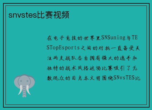 snvstes比赛视频